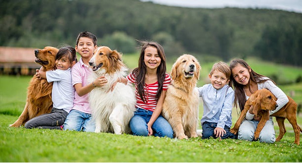 Happy Group Of Kids With A Bunch Of Dogs